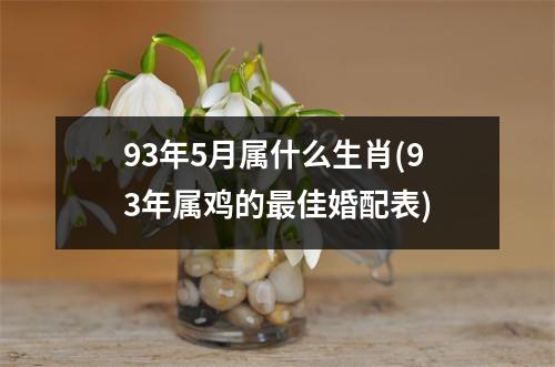 93年5月属什么生肖(93年属鸡的佳婚配表)