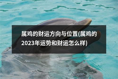 属鸡的财运方向与位置(属鸡的2023年运势和财运怎么样)