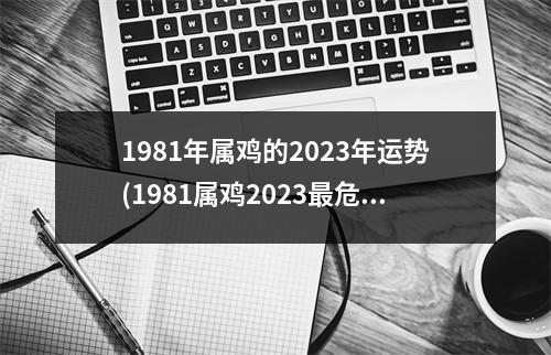 1981年属鸡的2023年运势(1981属鸡2023危险的一个月)