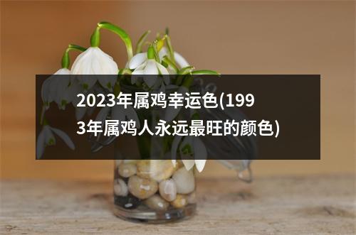 2023年属鸡幸运色(1993年属鸡人永远旺的颜色)