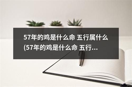 57年的鸡是什么命 五行属什么(57年的鸡是什么命 五行属什么吉祥色)