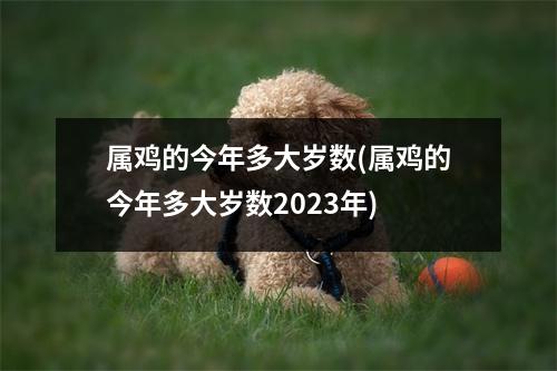 属鸡的今年多大岁数(属鸡的今年多大岁数2023年)