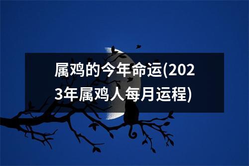 属鸡的今年命运(2023年属鸡人每月运程)