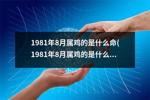 1981年8月属鸡的是什么命(1981年8月属鸡的是什么命五行)