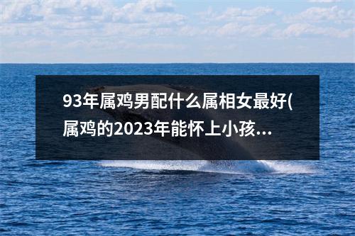 93年属鸡男配什么属相女好(属鸡的2023年能怀上小孩吗)