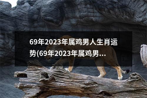 69年2023年属鸡男人生肖运势(69年2023年属鸡男人生肖运势怎么样)