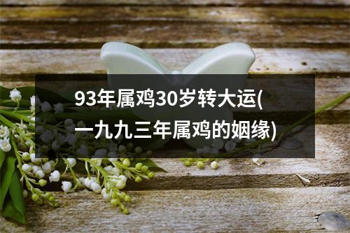 93年属鸡30岁转大运(一九九三年属鸡的姻缘)