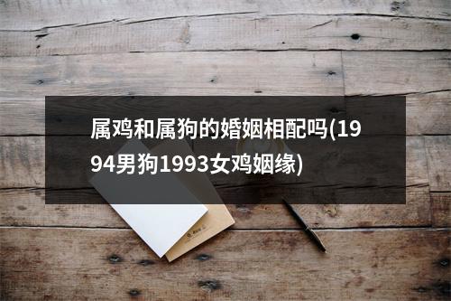 属鸡和属狗的婚姻相配吗(1994男狗1993女鸡姻缘)