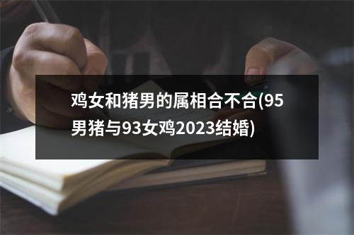 鸡女和猪男的属相合不合(95男猪与93女鸡2023结婚)