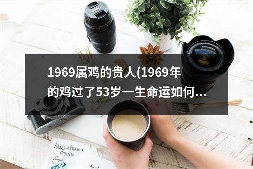 1969属鸡的贵人(1969年的鸡过了53岁一生命运如何)