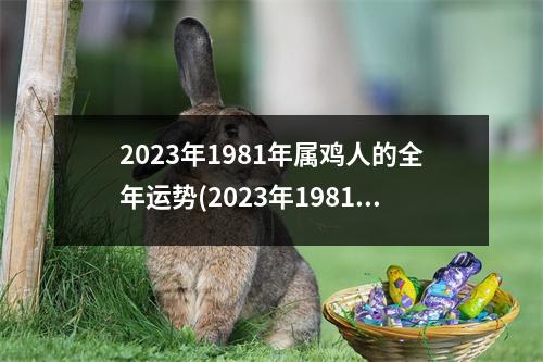 2023年1981年属鸡人的全年运势(2023年1981年属鸡人的全年运势男桃花运有吗)