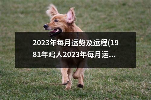 2023年每月运势及运程(1981年鸡人2023年每月运势及运程)