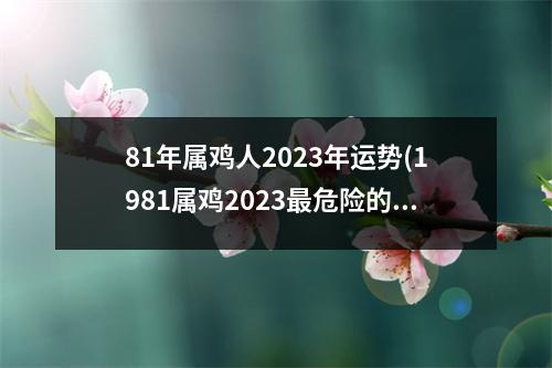 81年属鸡人2023年运势(1981属鸡2023危险的一个月)