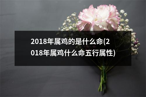 2018年属鸡的是什么命(2018年属鸡什么命五行属性)