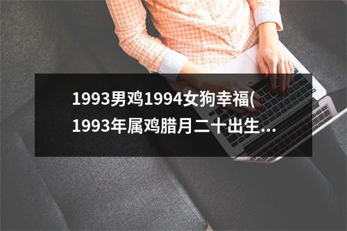 1993男鸡1994女狗幸福(1993年属鸡腊月二十出生)