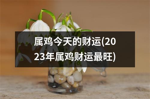 属鸡今天的财运(2023年属鸡财运旺)