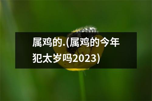 属鸡的.(属鸡的今年犯太岁吗2023)