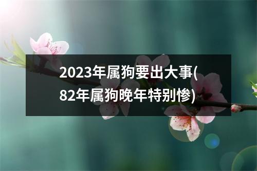 2023年属狗要出大事(82年属狗晚年特别惨)