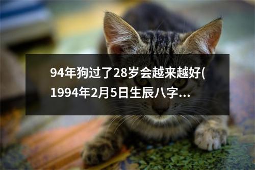 94年狗过了28岁会越来越好(1994年2月5日生辰八字)