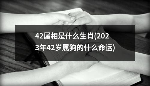 42属相是什么生肖(2023年42岁属狗的什么命运)