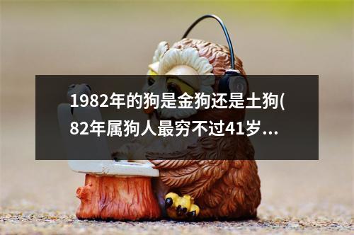 1982年的狗是金狗还是土狗(82年属狗人穷不过41岁)