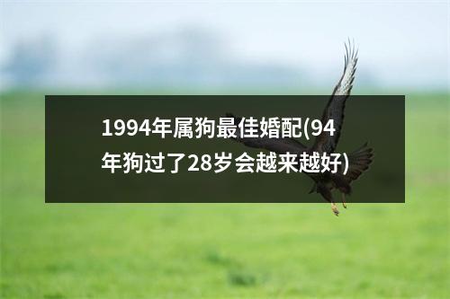 1994年属狗佳婚配(94年狗过了28岁会越来越好)