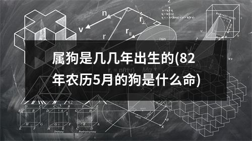 属狗是几几年出生的(82年农历5月的狗是什么命)