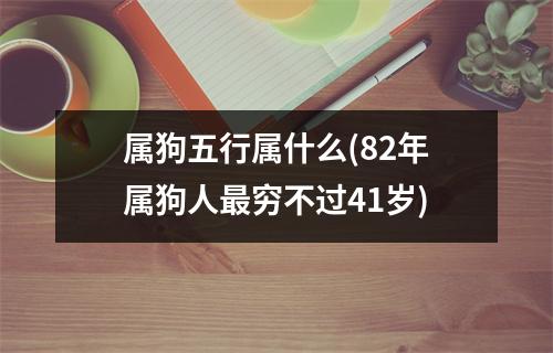 属狗五行属什么(82年属狗人穷不过41岁)