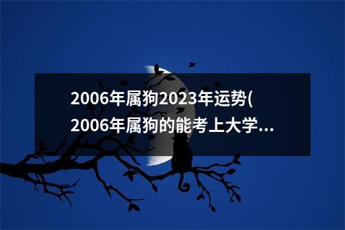 2006年属狗2023年运势(2006年属狗的能考上大学吗)