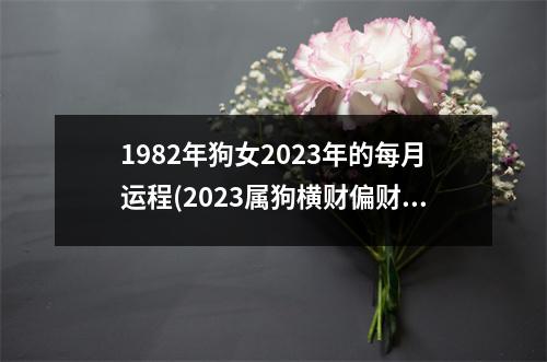 1982年狗女2023年的每月运程(2023属狗横财偏财运好不好)