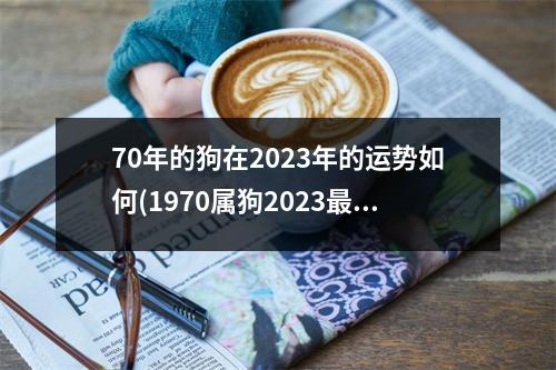 70年的狗在2023年的运势如何(1970属狗2023危险的一个月)