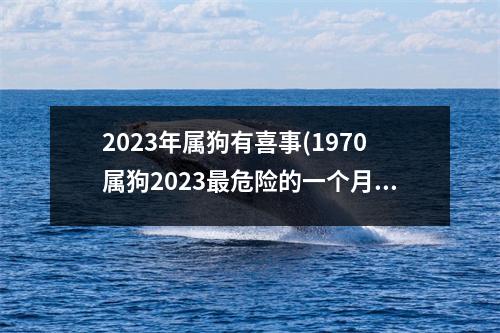 2023年属狗有喜事(1970属狗2023危险的一个月)