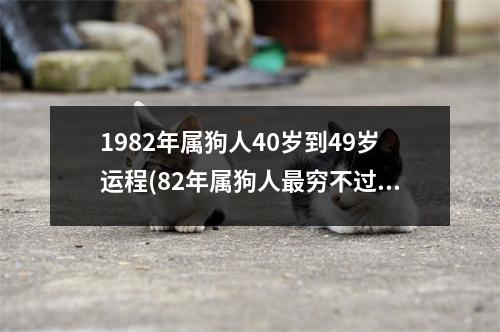 1982年属狗人40岁到49岁运程(82年属狗人穷不过41岁)