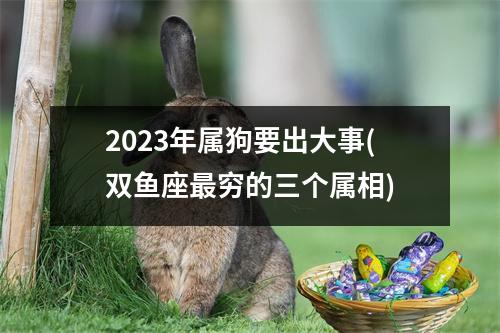 2023年属狗要出大事(双鱼座穷的三个属相)