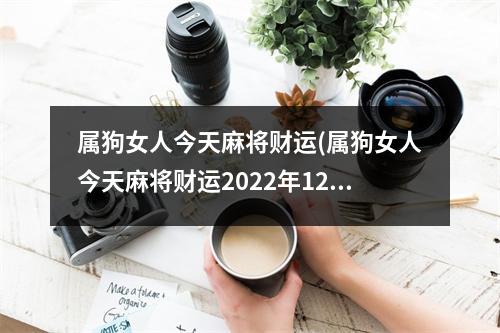 属狗女人今天麻将财运(属狗女人今天麻将财运2022年12月14日)