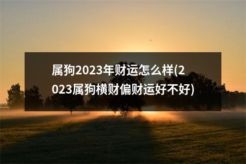 属狗2023年财运怎么样(2023属狗横财偏财运好不好)