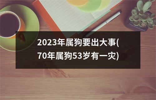 2023年属狗要出大事(70年属狗53岁有一灾)