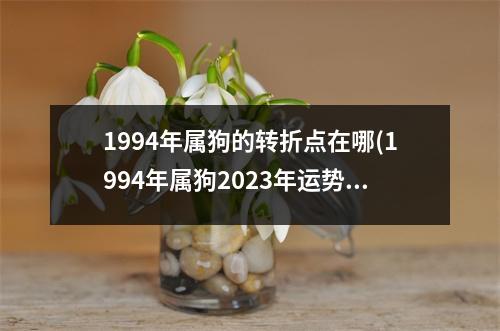 1994年属狗的转折点在哪(1994年属狗2023年运势如何)