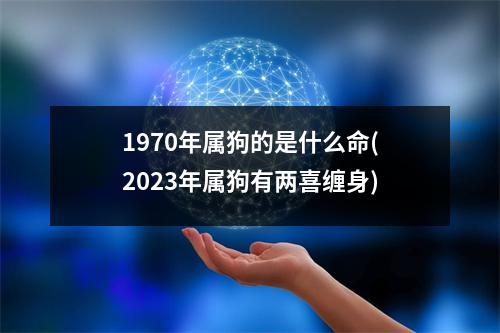 1970年属狗的是什么命(2023年属狗有两喜缠身)