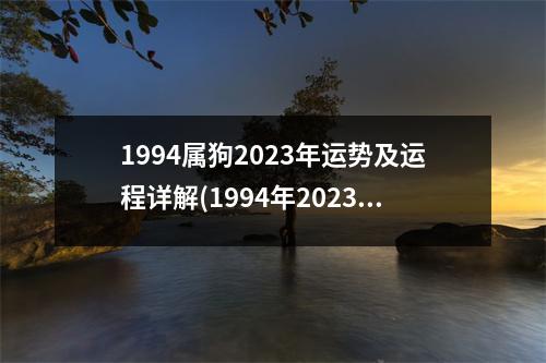 1994属狗2023年运势及运程详解(1994年2023年属狗人的全年运势)