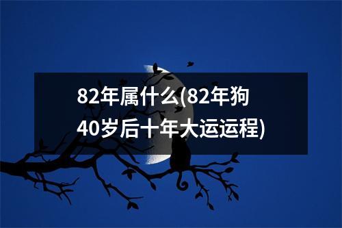 82年属什么(82年狗40岁后十年大运运程)