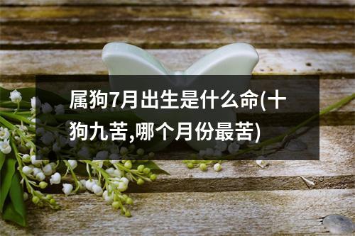 属狗7月出生是什么命(十狗九苦,哪个月份苦)