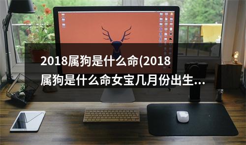 2018属狗是什么命(2018属狗是什么命女宝几月份出生)