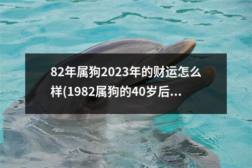 82年属狗2023年的财运怎么样(1982属狗的40岁后十年大运运程)