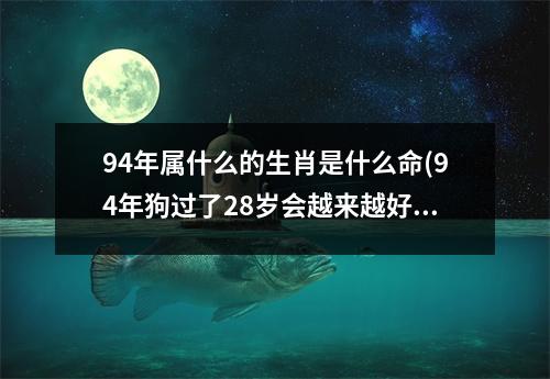 94年属什么的生肖是什么命(94年狗过了28岁会越来越好)