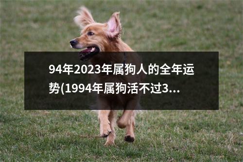 94年2023年属狗人的全年运势(1994年属狗活不过30岁吗)