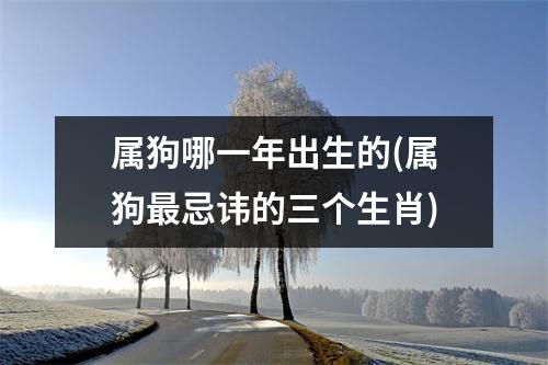 属狗哪一年出生的(属狗忌讳的三个生肖)