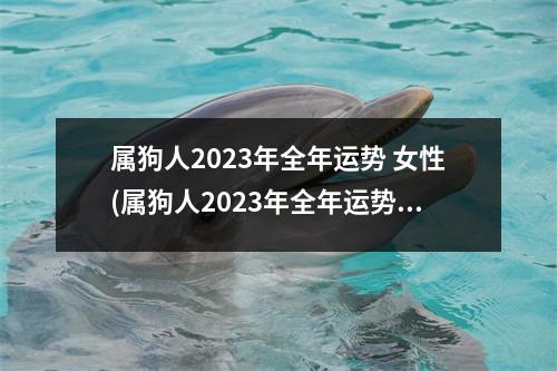 属狗人2023年全年运势 女性(属狗人2023年全年运势 女性2016年生人)