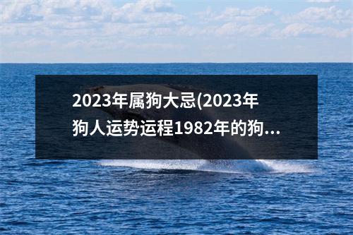 2023年属狗大忌(2023年狗人运势运程1982年的狗)