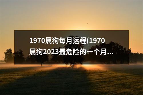 1970属狗每月运程(1970属狗2023危险的一个月)